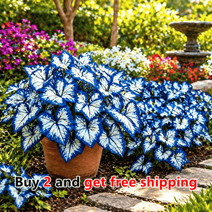 🦋 Moonlight Butterfly Flower Seeds – Stunning Rare Blooms That Transform Any Garden-8POP