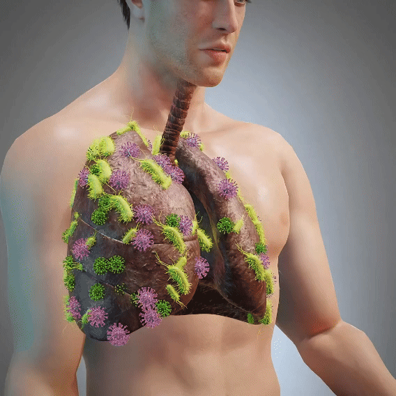 💥2026 New Upgrade | Cleanse Your Airways by 98% in Just 7 Days!🌿Botanical LungCare Mullein Diffuser✨-8HJ9