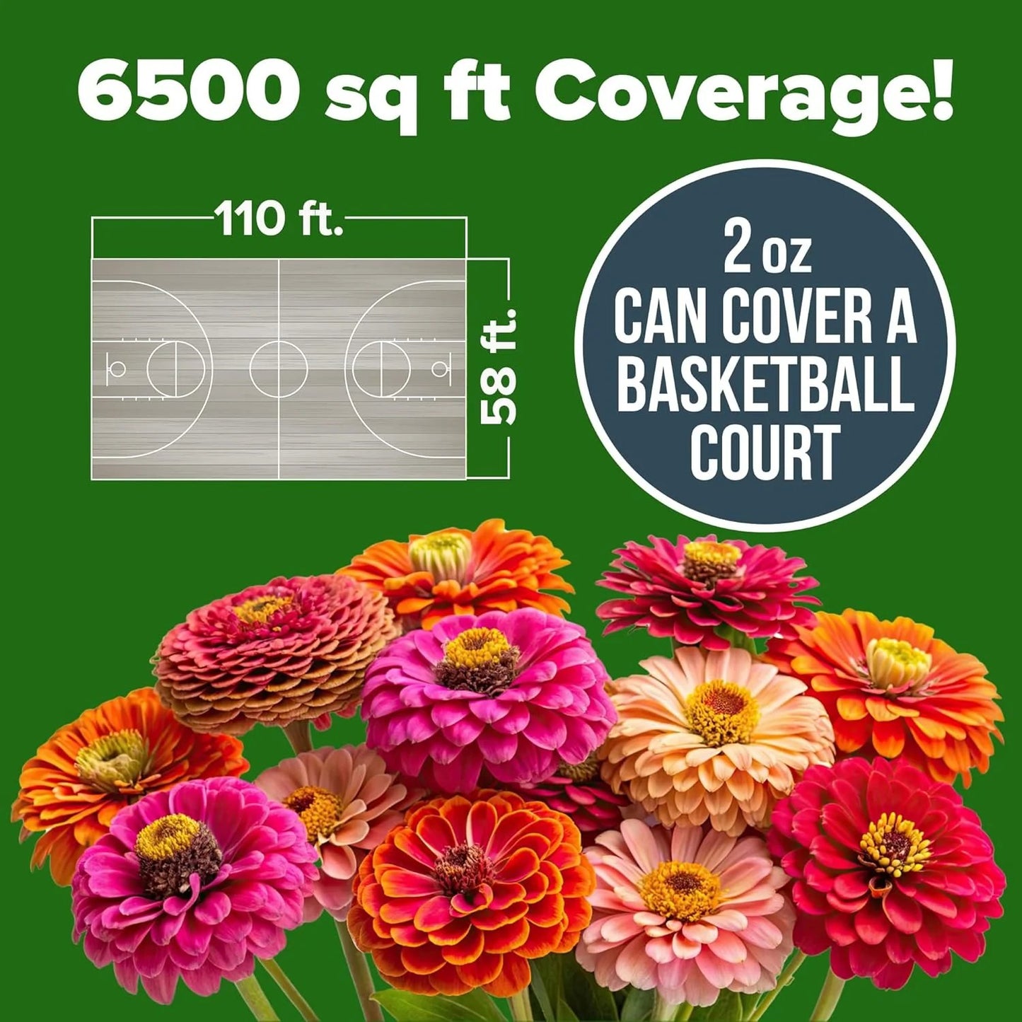 🌺 Grow a Garden Full of Giant Colorful Blooms -8POP