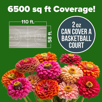 🌺 Grow a Garden Full of Giant Colorful Blooms -8POP
