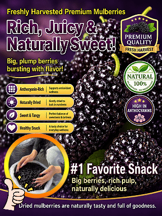 California Farm-Dried Black Mulberries – Naturally Sweet, Soft & Chewy, No Added Sugar-8HJ9