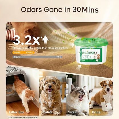 🔥2026 SALE - Home Pet Fur & Odor Removal Magic Box-8AOE1