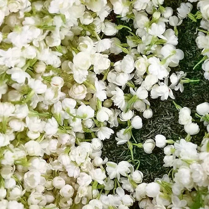 🔥LAST DAY Promotion 49% OFF 🌸Beautiful Jasmine seeds(Can be planted in winter)-8POP