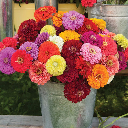 🌺 Grow a Garden Full of Giant Colorful Blooms -8POP