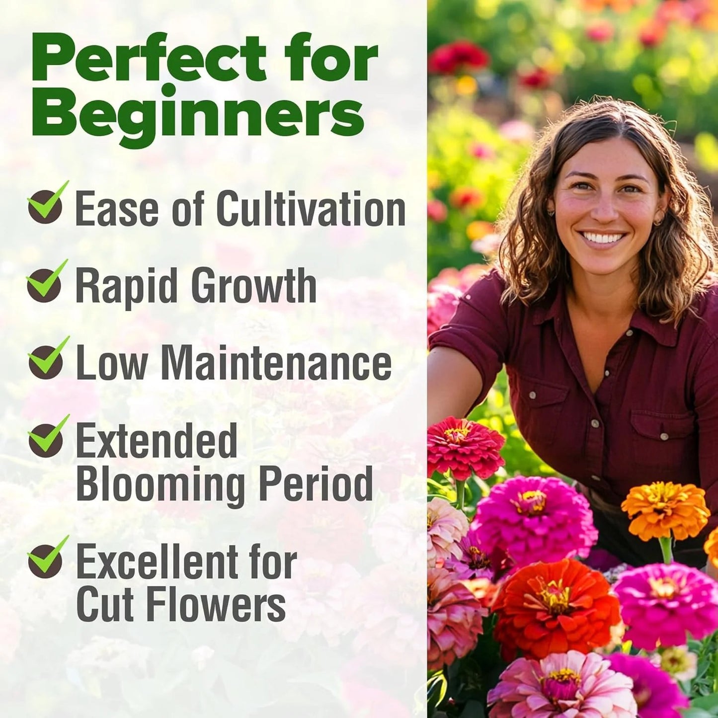 🌺 Grow a Garden Full of Giant Colorful Blooms -8POP