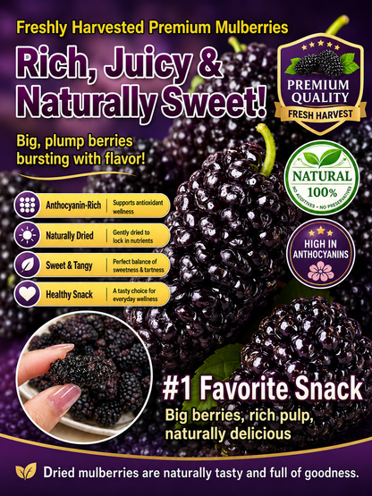California Farm-Dried Black Mulberries – Naturally Sweet, Soft & Chewy, No Added Sugar-8HJ9