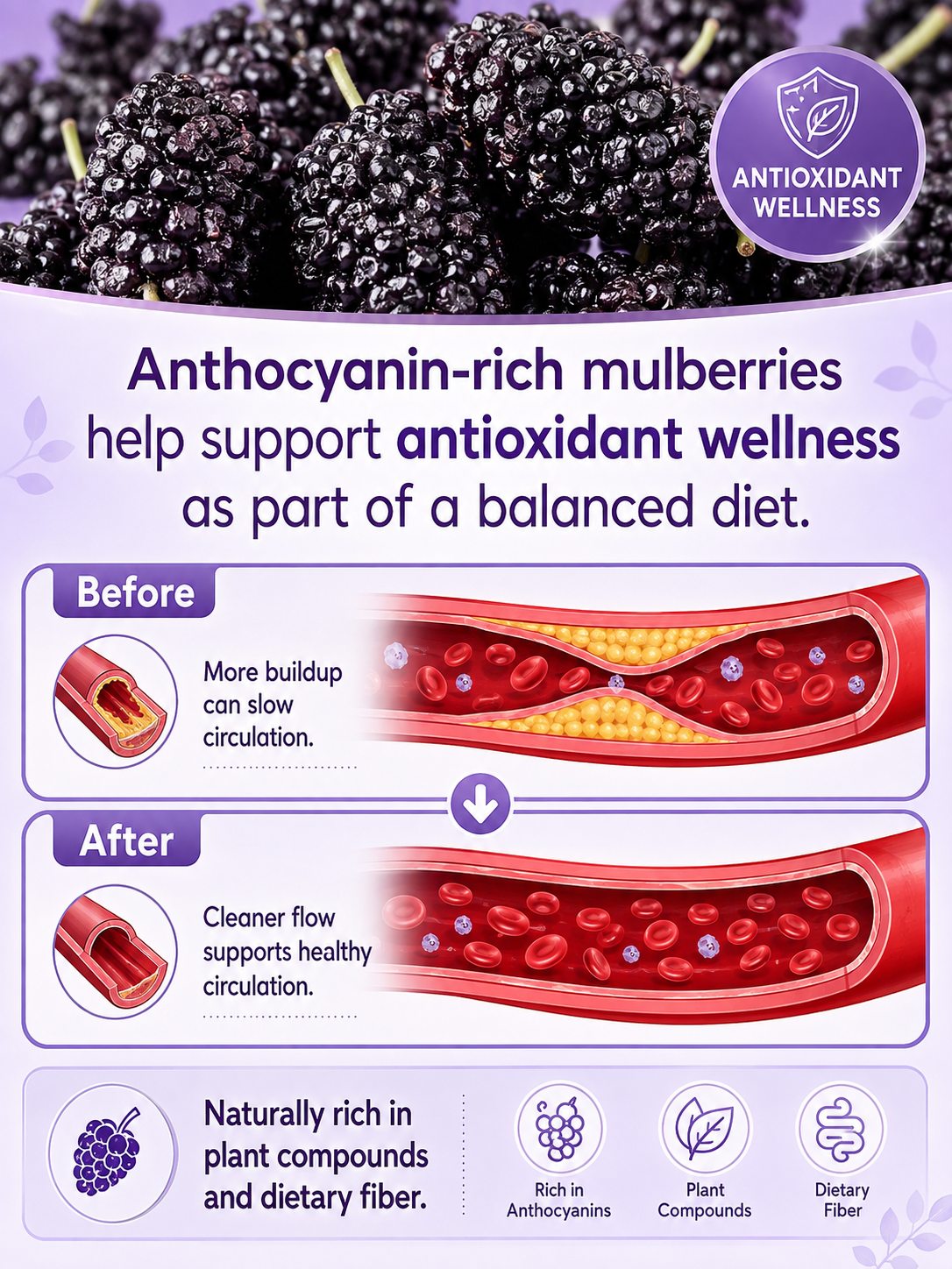 California Farm-Dried Black Mulberries – Naturally Sweet, Soft & Chewy, No Added Sugar-8HJ9