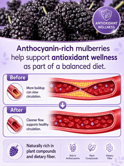 California Farm-Dried Black Mulberries – Naturally Sweet, Soft & Chewy, No Added Sugar-8HJ9