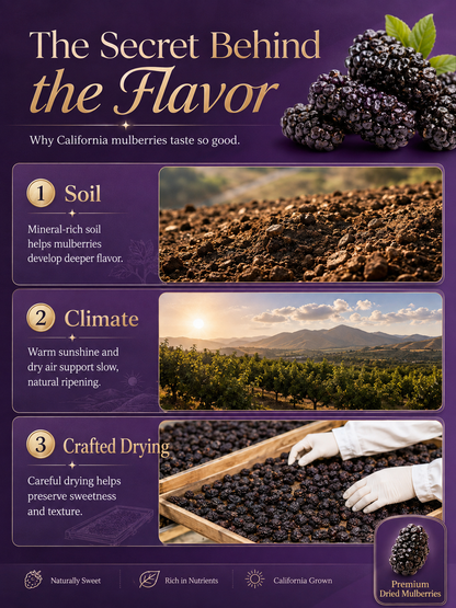 California Farm-Dried Black Mulberries – Naturally Sweet, Soft & Chewy, No Added Sugar-8HJ9
