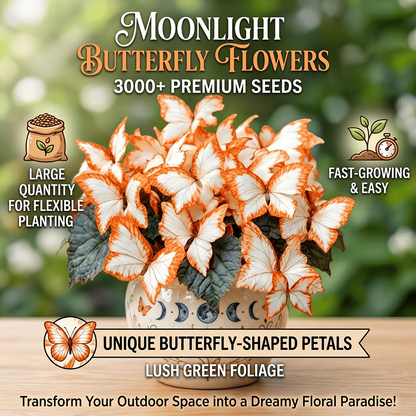 🌸 Moonlight Butterfly Flower Seeds-8POP