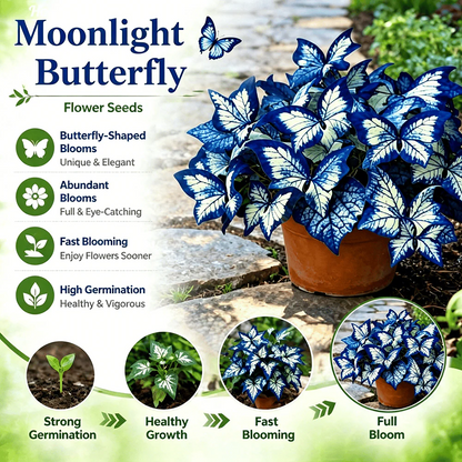 🌸 Moonlight Butterfly Flower Seeds-8POP