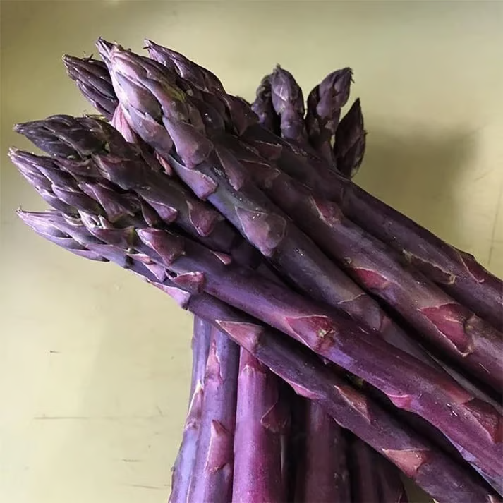 Grow Fresh Organic Asparagus at Home 🌱-8POP