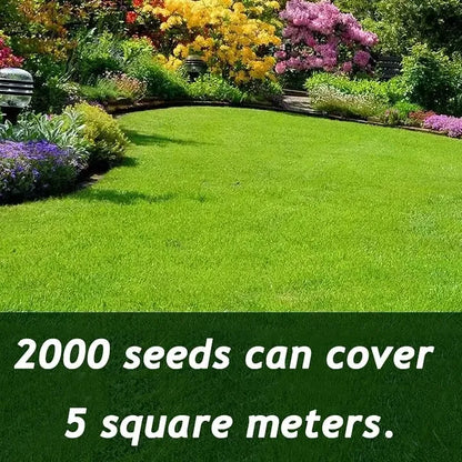 🌱 Premium Evergreen Dwarf Grass Seed – Stay Green Through All Four Seasons-8POP