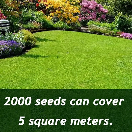 🌱 Premium Evergreen Dwarf Grass Seed – Stay Green Through All Four Seasons-8POP