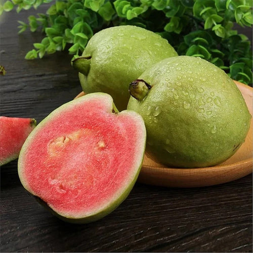 🍈 Dilyhbu Tropical Guava Growing Kit – Grow Sweet Exotic Guava at Home-8POP