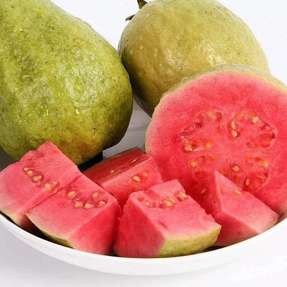 🍈 Dilyhbu Tropical Guava Growing Kit – Grow Sweet Exotic Guava at Home-8POP