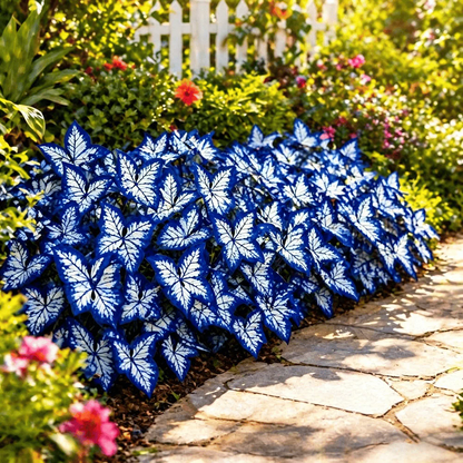 🌸 Moonlight Butterfly Flower Seeds-8POP