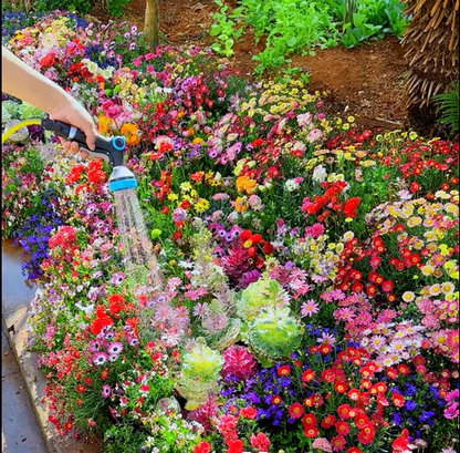 🌸 All-Season Mixed Perennial Flowers Seeds – 90+ Varieties, Bloom All Year!-8AOE1