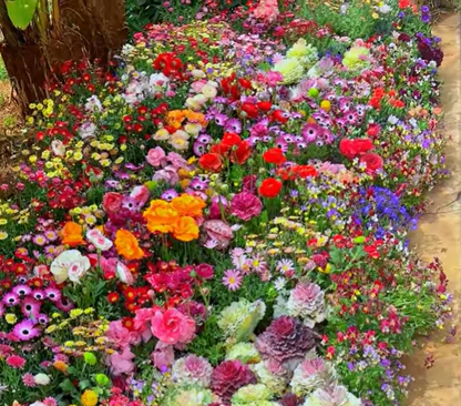 🌸 All-Season Mixed Perennial Flowers Seeds – 90+ Varieties, Bloom All Year!-8AOE1