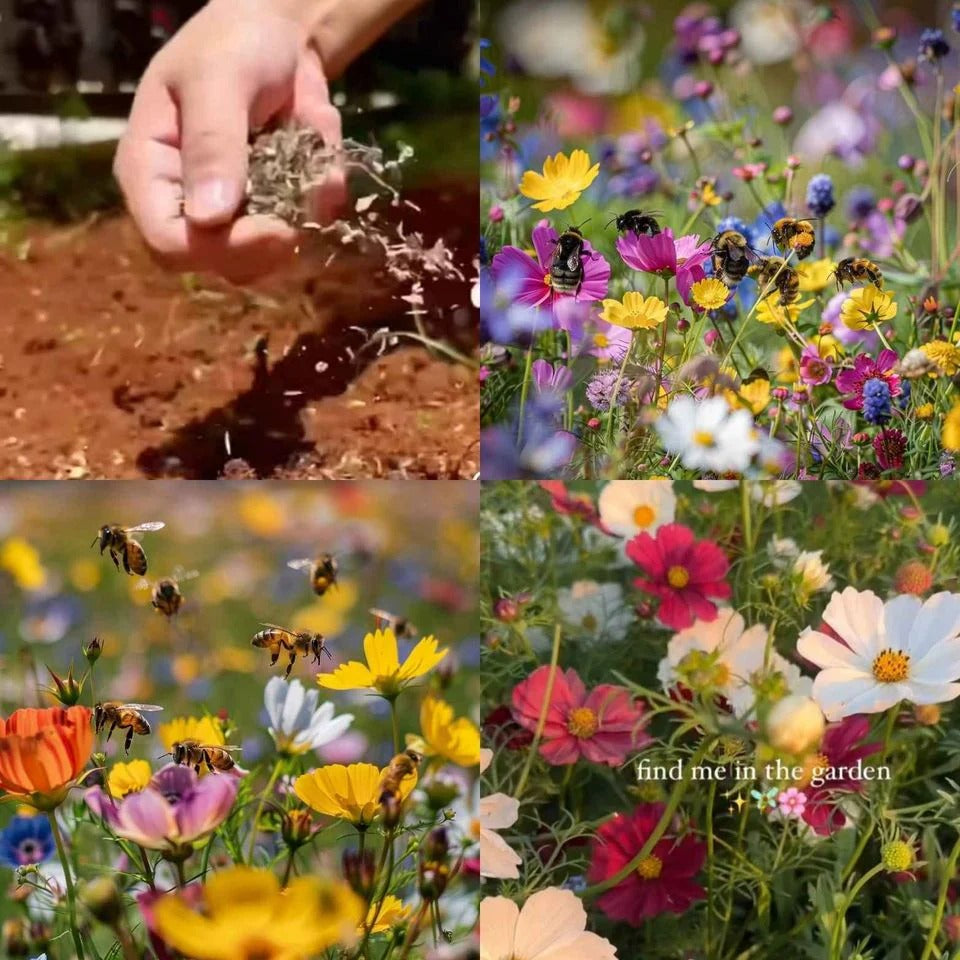 🌸 All-Season Mixed Perennial Flowers Seeds – 90+ Varieties, Bloom All Year!-8AOE1