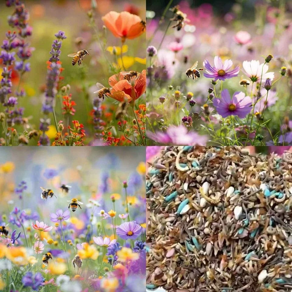 🌸 All-Season Mixed Perennial Flowers Seeds – 90+ Varieties, Bloom All Year!-8AOE1