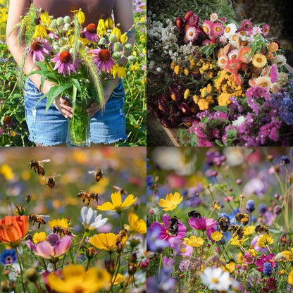 🌸 All-Season Mixed Perennial Flowers Seeds – 90+ Varieties, Bloom All Year!-8AOE1
