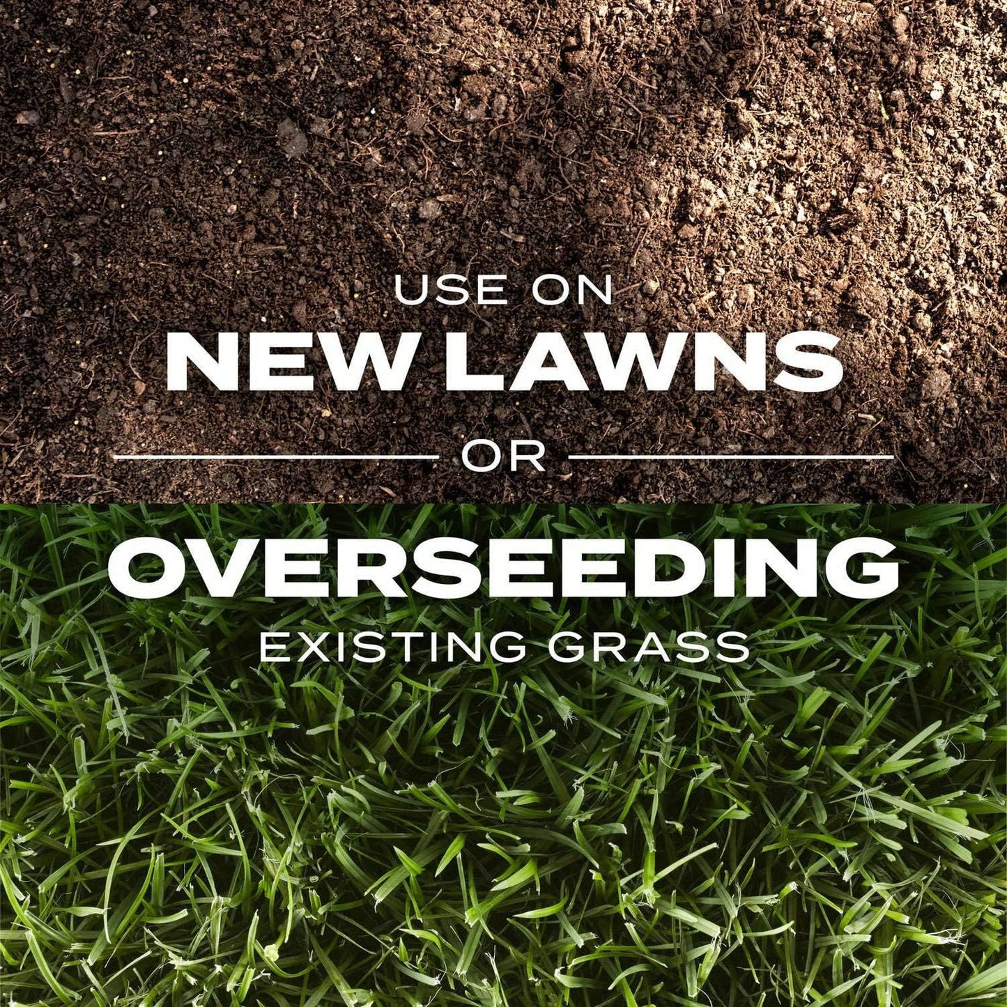 🌱 Premium Evergreen Dwarf Grass Seed – Stay Green Through All Four Seasons-8POP