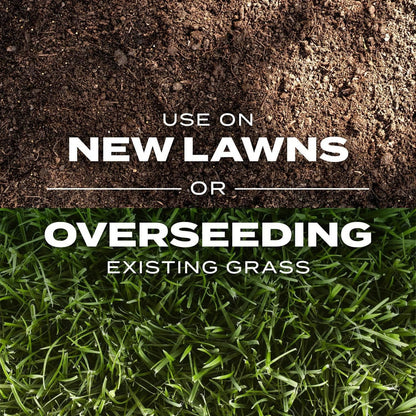 🌱 Premium Evergreen Dwarf Grass Seed – Stay Green Through All Four Seasons-8POP