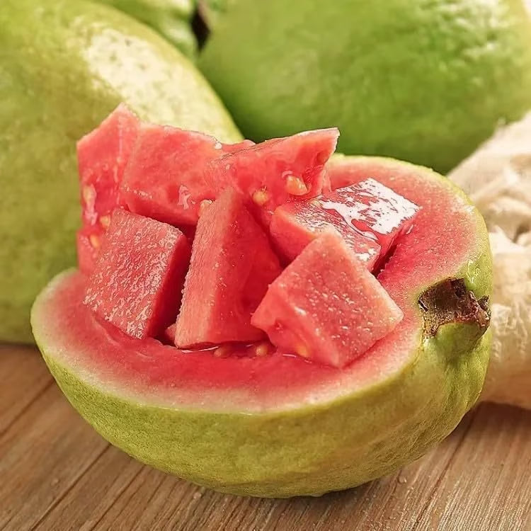 🍈 Dilyhbu Tropical Guava Growing Kit – Grow Sweet Exotic Guava at Home-8POP