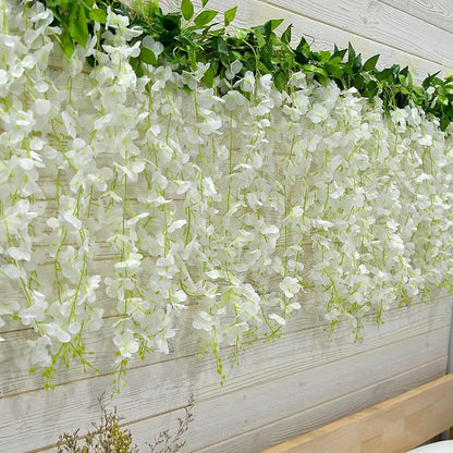 🌸WISTERIA Seeds - THE GARDEN’S CASCADING BEAUTY ALL YEAR ROUND-8POP
