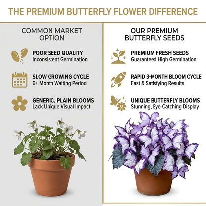 🌸 Moonlight Butterfly Flower Seeds-8POP