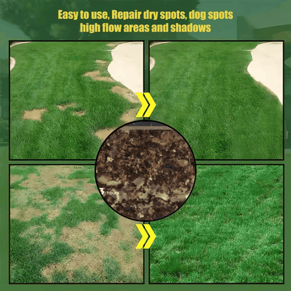 Bring Your Lawn Back to Life 🔥🌱2026 Evergreen Dwarf Grass Seed for Four Seasons-8POP