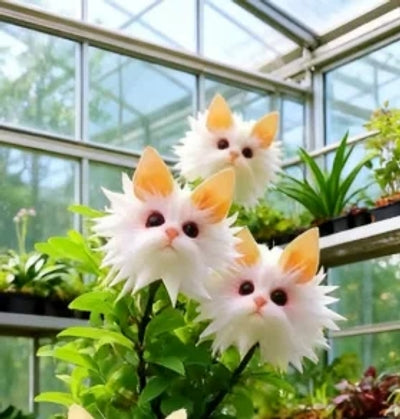 ✨LAST DAY 60% OFF - Magical plants! Cat's eye dazzling series-8POP