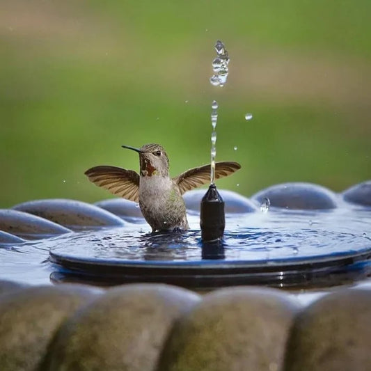 🎁☀️Solar Bird Bath Fountain Pump with 4 Nozzles-8POP