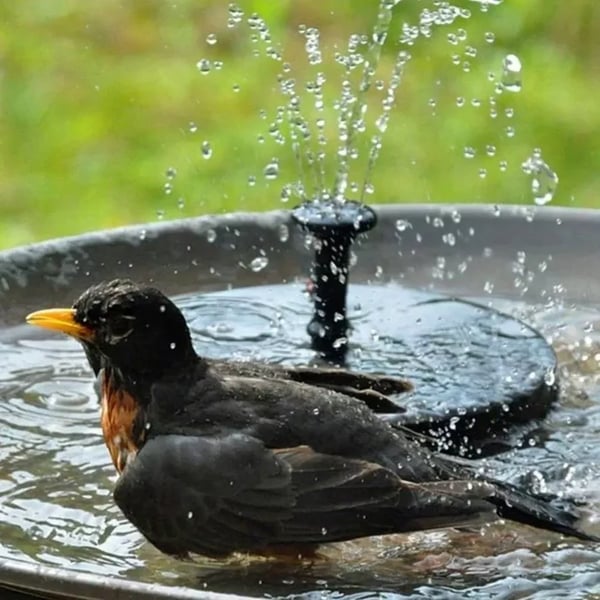 🎁☀️Solar Bird Bath Fountain Pump with 4 Nozzles-8POP